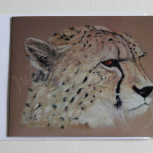 Contemplation – Cheetah Greetings Card