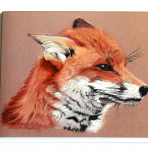 Mr Fox – Greetings Card