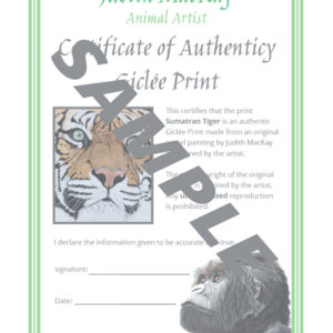 Sumatran Tiger – Giclée Print